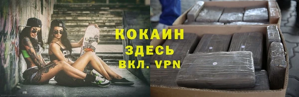скорость Гусев