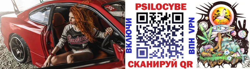 Купить закладки  Киреевск  Галлюциногенные грибы ЛСД 